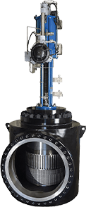 Globe Valves